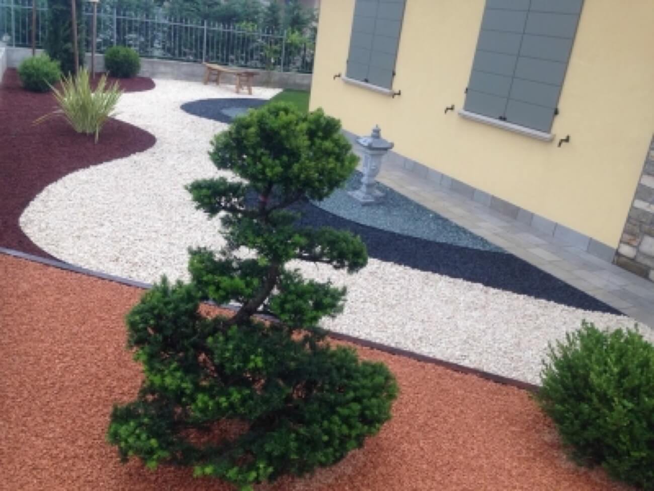Taxus Baccata 